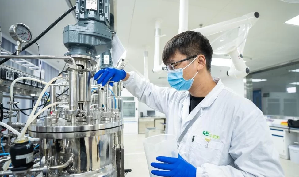 Enzyme Workshop